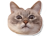 512x387