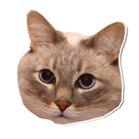 512x512