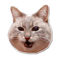 512x512
