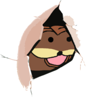 mugEUESk.жипег