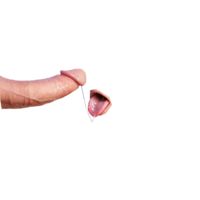 512x512