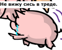 pVAtZSfV.жипег