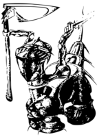 361x512