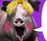 512x441