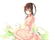 244