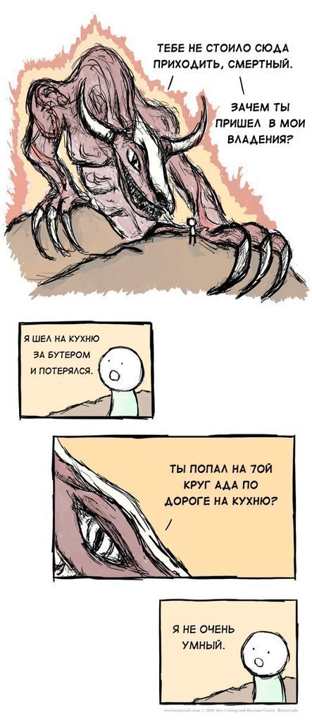 443x1024