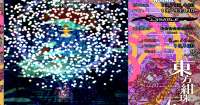 1240x656