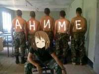 259x194