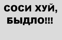 430x279