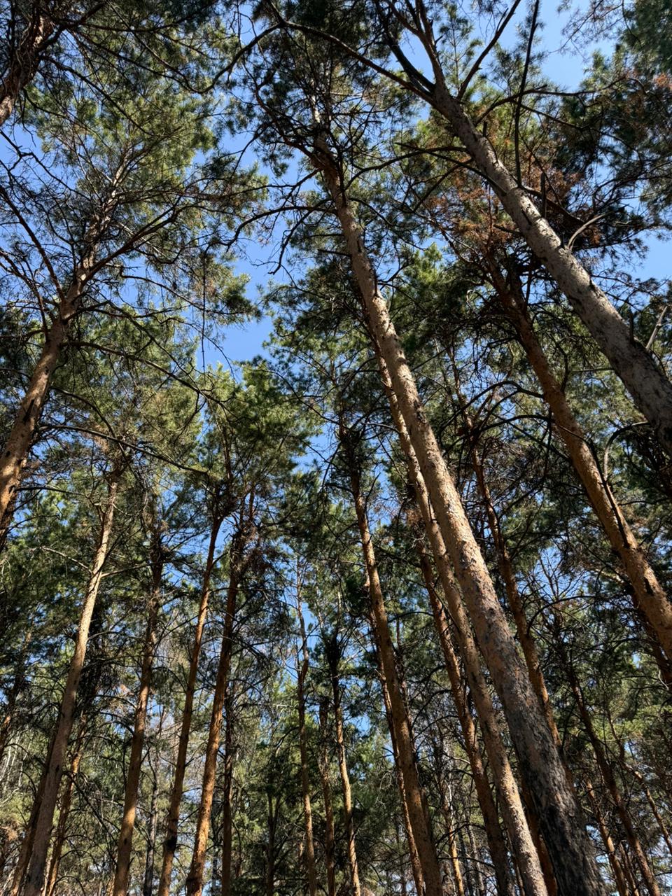 960x1280