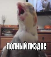 588