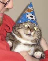 115
