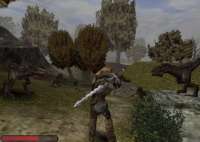 153