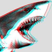 256x256