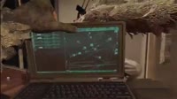 1280x720