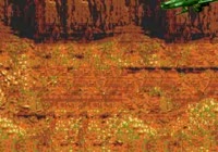 500x350