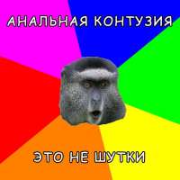 1000x1000