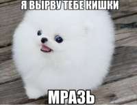 587x453