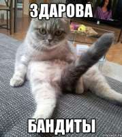 439x489