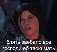 546x499