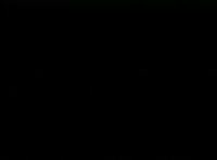 352x262