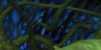 800x400