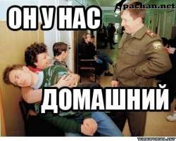 400x323