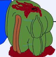 388x394