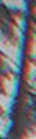 160x600