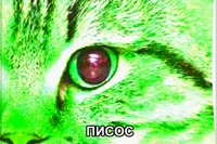 540x360
