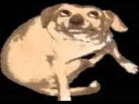 480x360