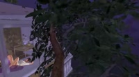 640x360