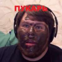 500x499