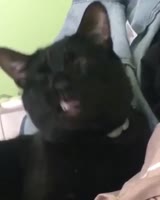 720x900