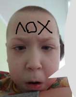 335x424