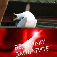 500x500