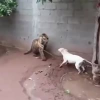 360x360