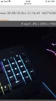 1242x2208