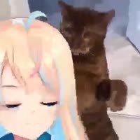 426x426