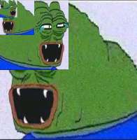 984x1000