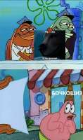 492x832
