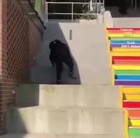 364x360