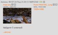 409x250