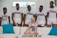 620x413