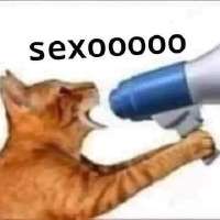 360x360