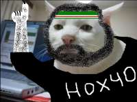 640x482