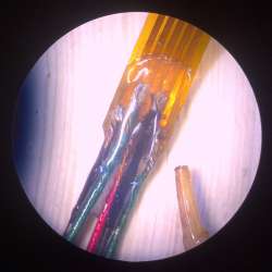 850x850