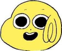 41