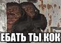 500x349