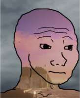 395x483